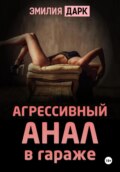 Агрессивный анал в гараже