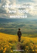 «Наблюдашки», или 1000 мелочей