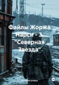 Файлы Жоржа Нарси 3. «Северная Звезда»