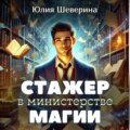 Стажер в Министерстве Магии