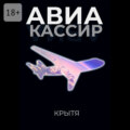 Авиакассир