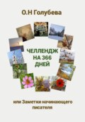 Челлендж на 366 дней, или Заметки начинающего писателя