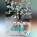 Как я провёл ковид