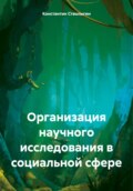 Организация научного исследования в социальной сфере