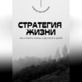 Стратегия жизни. Как строить планы и достигать целей