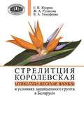 Стрелитция королевская (Strelitzia reginae Banks) в условиях защищенного грунта в Беларуси