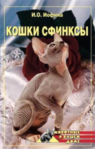 Кошки – сфинксы