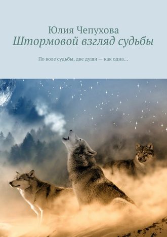 Штормовой взгляд судьбы. По воле судьбы, две души – как одна…