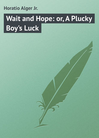 Wait and Hope: or, A Plucky Boy\'s Luck
