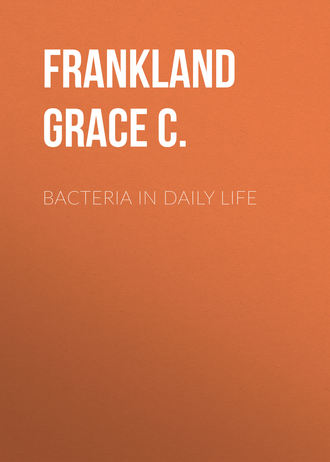 Bacteria in Daily Life