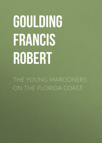 The Young Marooners on the Florida Coast