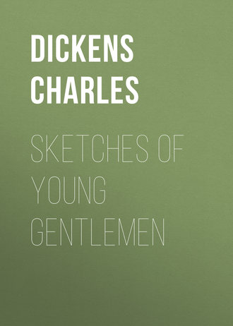 Sketches of Young Gentlemen