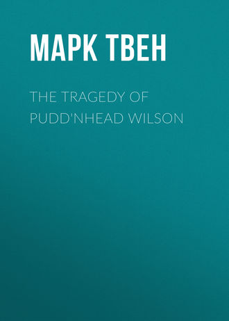 The Tragedy of Pudd\'nhead Wilson