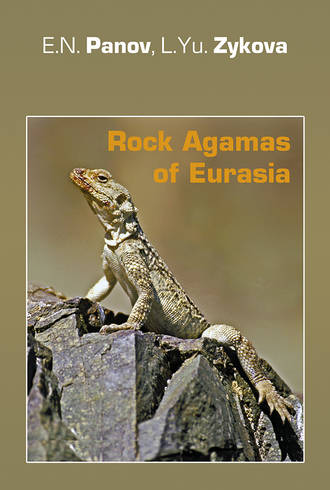 Rock Agamas of Eurasia \/ Горные агамы Евразии
