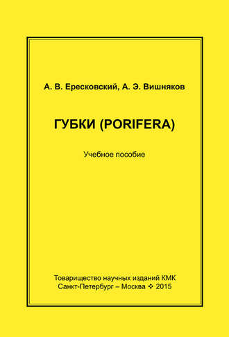 Губки (Porifera). Учебное пособие