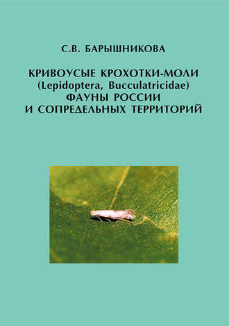 Кривоусые крохотки-моли (Lepidoptera, Bucculatricidae) фауны России и сопредельных территорий