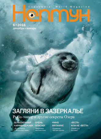 Нептун №6\/2016