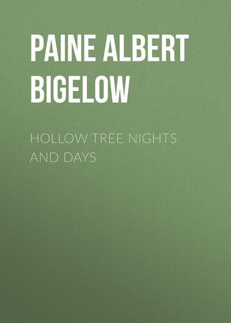 Hollow Tree Nights and Days