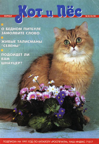 Кот и Пёс №06\/1996