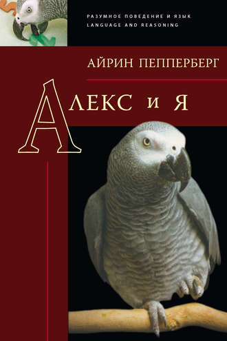 Алекс и я