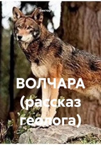 Волчара (рассказ геолога)