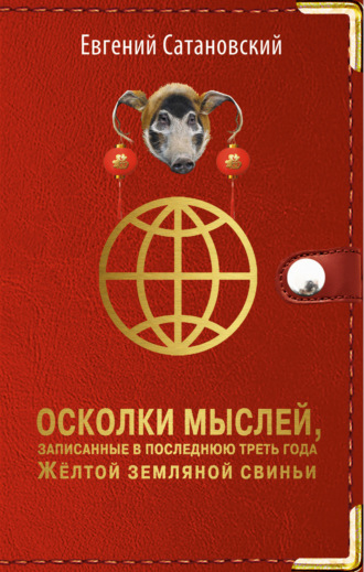 Осколки мыслей, записанные в последнюю треть года Жёлтой Земляной Свиньи