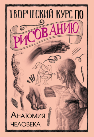 Творческий курс по рисованию. Анатомия человека