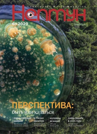 Нептун №6\/2020