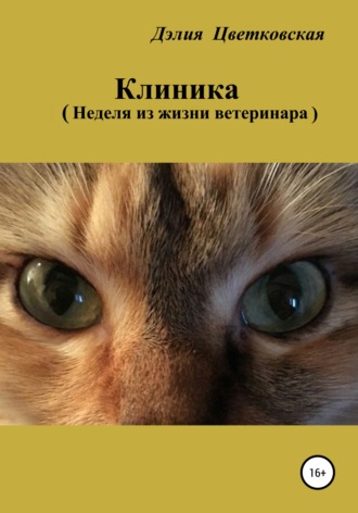 Клиника. Неделя из жизни ветеринара