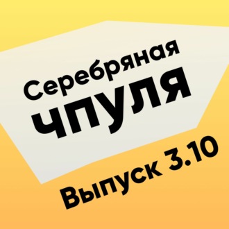 Чпуля 3.10 Амит Пурохит. Инвестировать в себя или в пользователя?