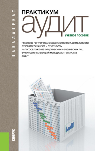 Аудит. Практикум. (Аспирантура, Бакалавриат, Магистратура). Учебное пособие.