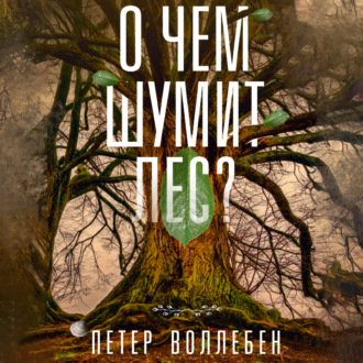 О чем шумит лес?