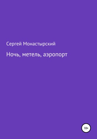 Ночь, метель, аэропорт