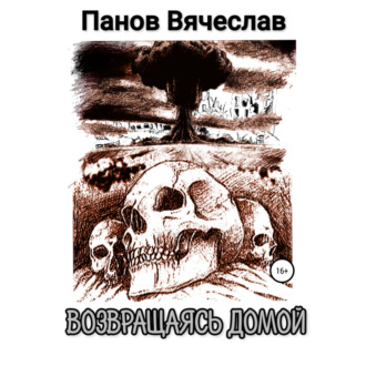 Возвращаясь домой