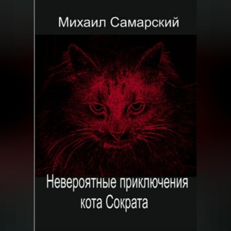 Невероятные приключения кота Сократа