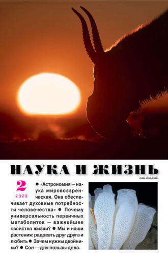 Наука и жизнь №02\/2023