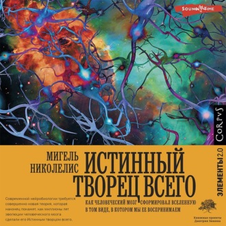 Истинный творец всего. Как человеческий мозг сформировал вселенную в том виде, в котором мы ее воспринимаем