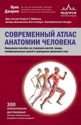 Современный атлас анатомии человека. Карманное пособие по строению костей, мышц, миофасциальных цепей и принципам движения тела