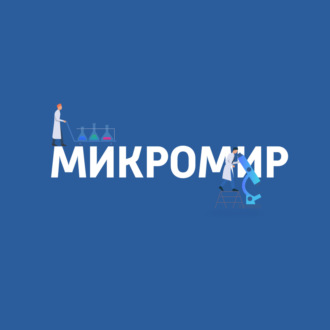 Метеозависимость: миф или реальность?