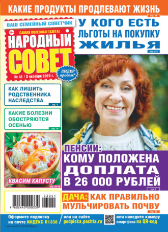 Народный совет №41\/2023