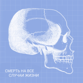 Фермы тел: что это такое и зачем они нужны ученым?