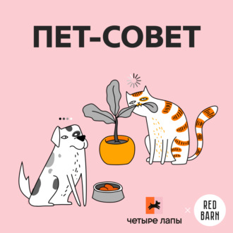 Пет-совет