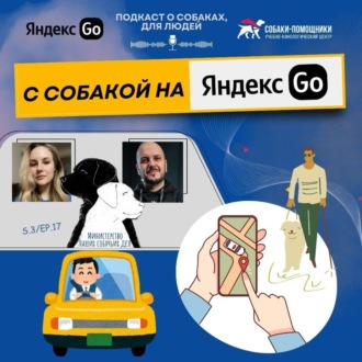 Поездки с собакой на Яндекс Go. Правила и возможности