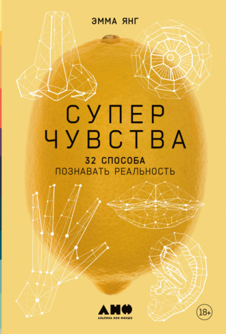 Суперчувства: 32 способа познавать реальность