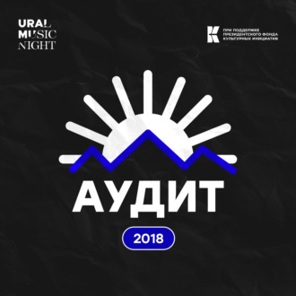 2018: Чемпионат Мира, фандрайзинг, волонтеры