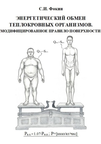 Энергетический обмен теплокровных организмов. Модифицированное правило поверхности