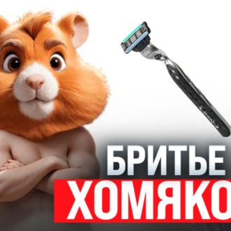 Hamster Kombat побрил хомяков \/ Дуров сдался \/ Покерные гении из Омска