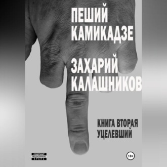 Пеший камикадзе. Книга вторая. Уцелевший