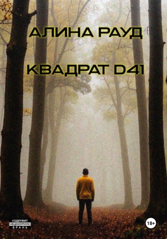 Квадрат D41