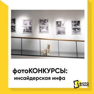 Фотоконкурсы: инсайдерская инфа